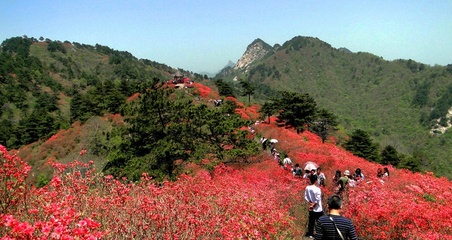 五一国内20个热门旅游景点 五一最值得去的地方