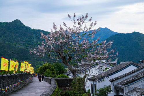 培育疗休养产业基地 助推旅游经济发展