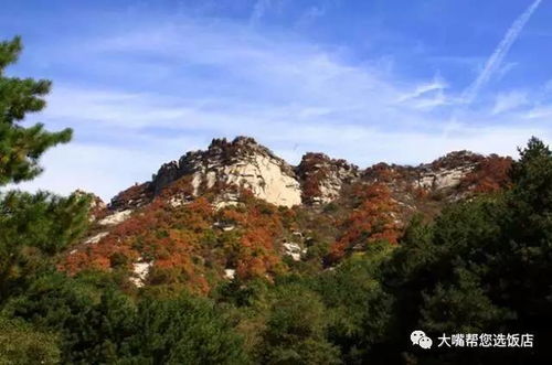 玩遍大连 明媚的日子怎能不登山